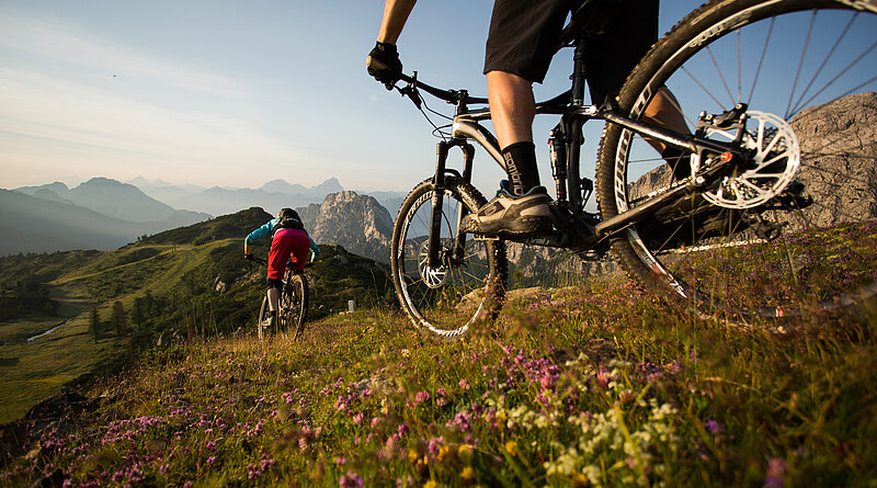 © David Schultheiß